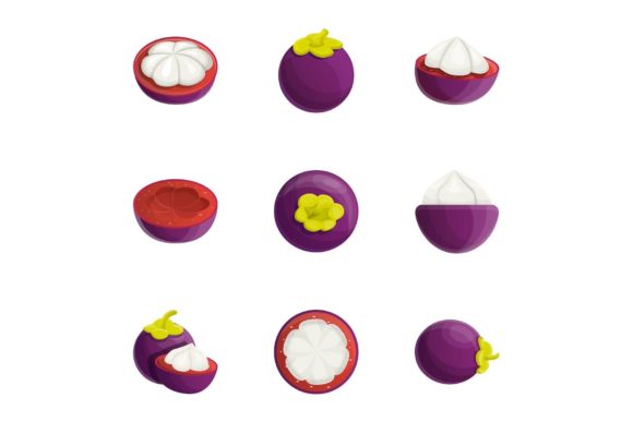 Download Tropical Mangosteen Icon Set - Premium Bundle