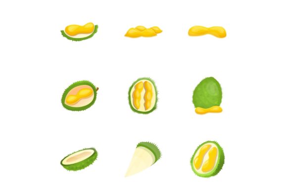 Download Tropical Durian Icon Set, Cartoon Style - Premium Bundle